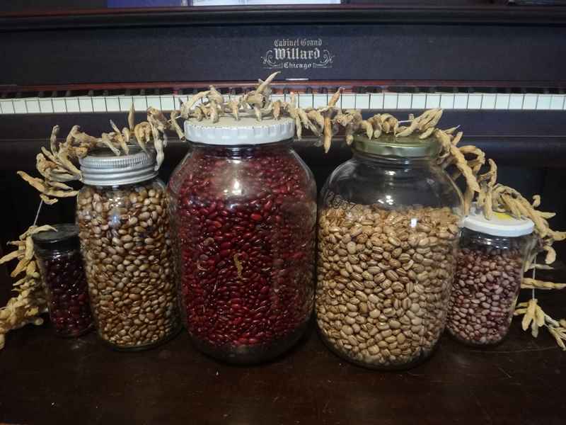 Beans