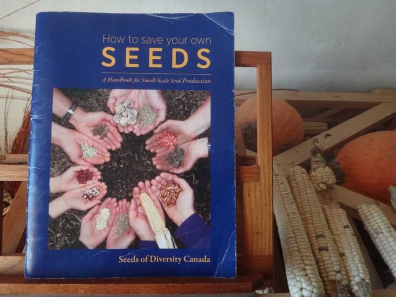 How to Save Your Own Seeds
