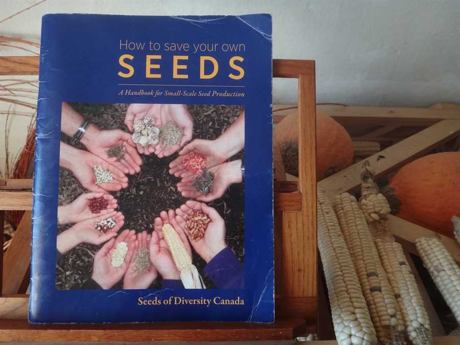 How to Save Your Own Seeds