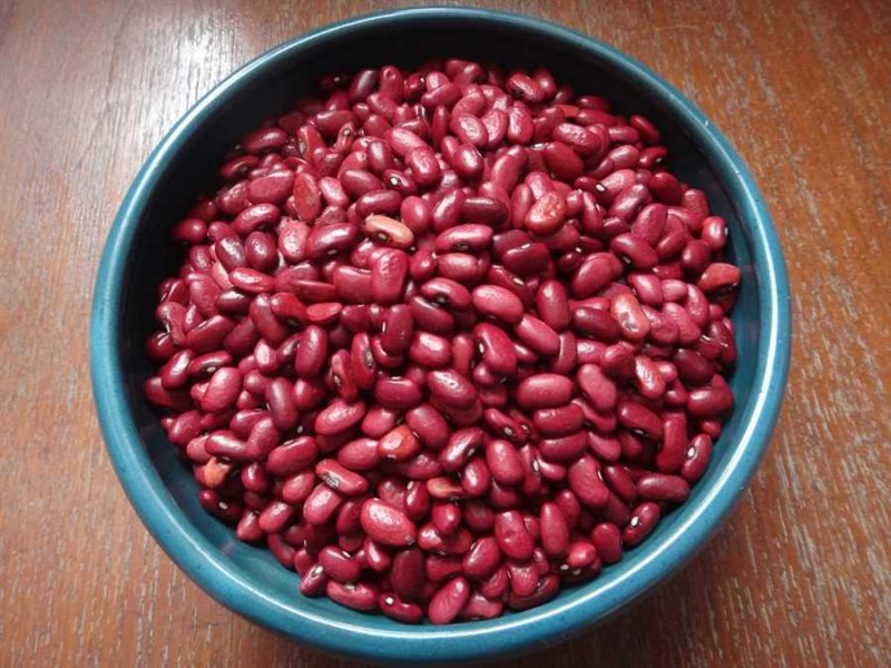 Macuzalito bean