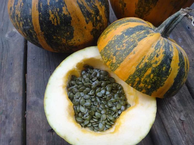 Styrian pumpkin
