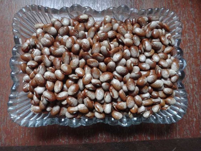 Turkey Craw bean