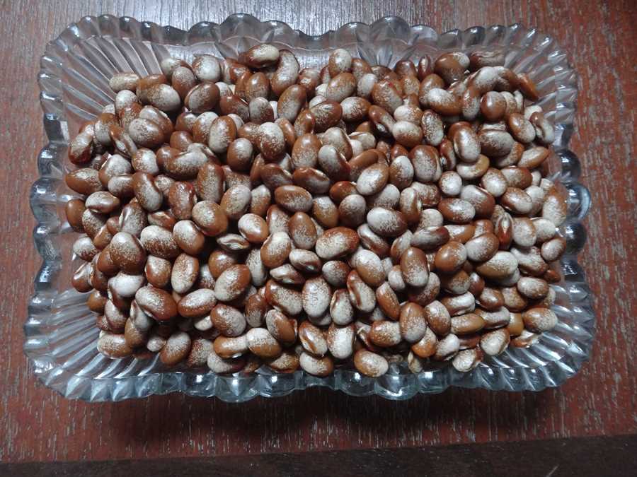 Turkey Craw bean
