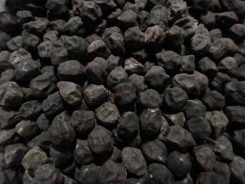 Black Kabouli chickpea