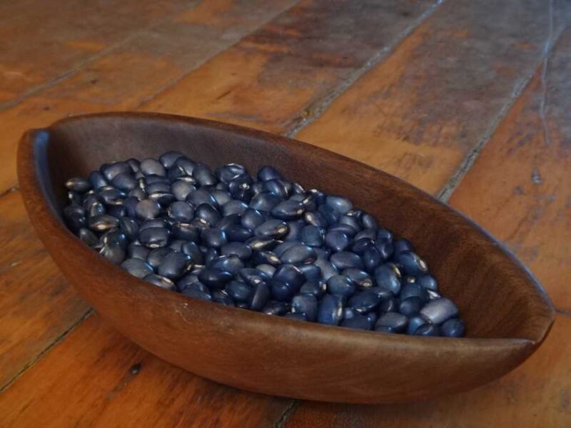 San Bernardo Blue bean