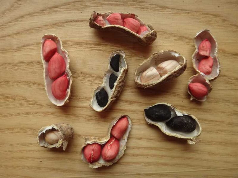 Sherck Composite peanut