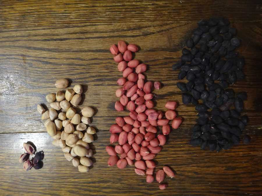 Sherck Composite peanut - Image 3