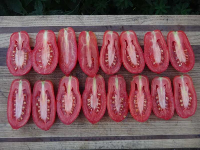 Ten Fingers of Naples tomato