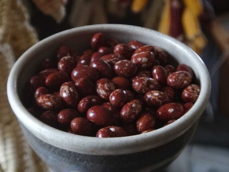 Goose Gullet bean