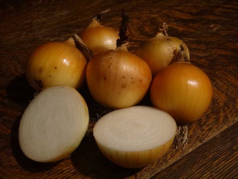 Newburg onion