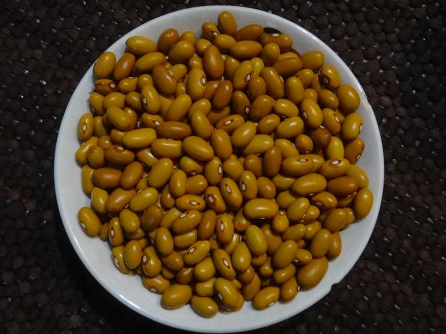 Öland Swedish Brown bean - Image 3