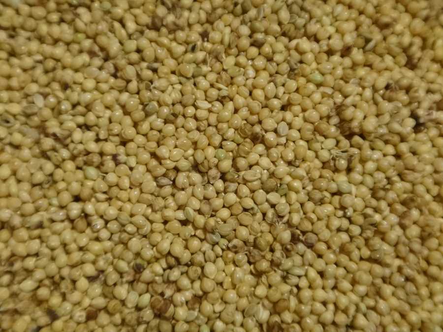 ☆millet☆ Men's Fleece jacket FUSION GRID