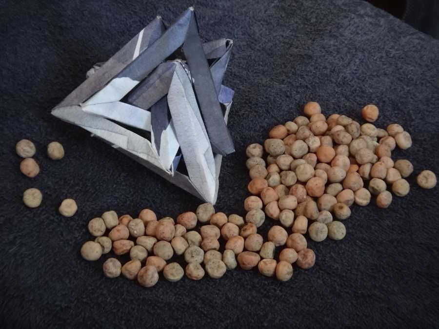 Schweizer Riesen pea - Image 3