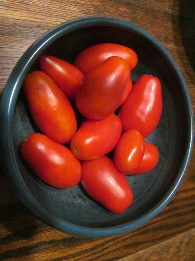 LYC 859 El Salvador tomato - Image 3