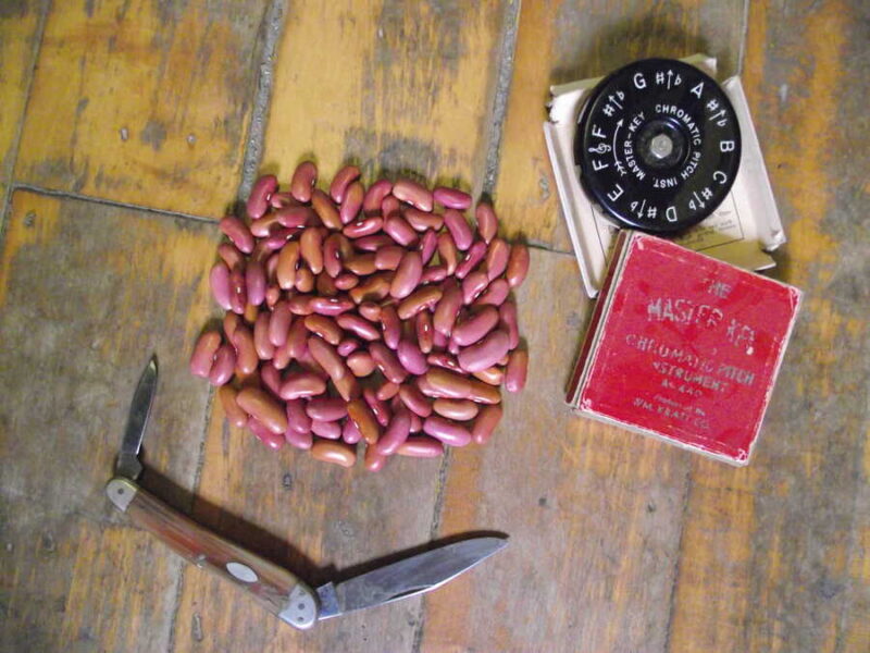 Red Kidney bean