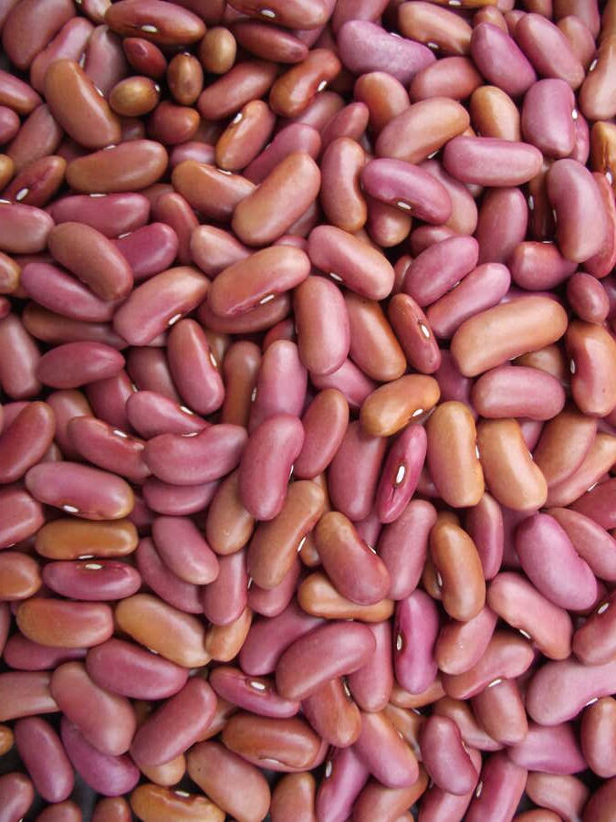 Red Kidney bean - Image 2