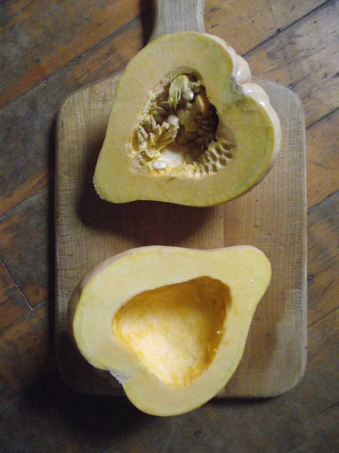 Thelma Sanders Acorn squash - Image 2