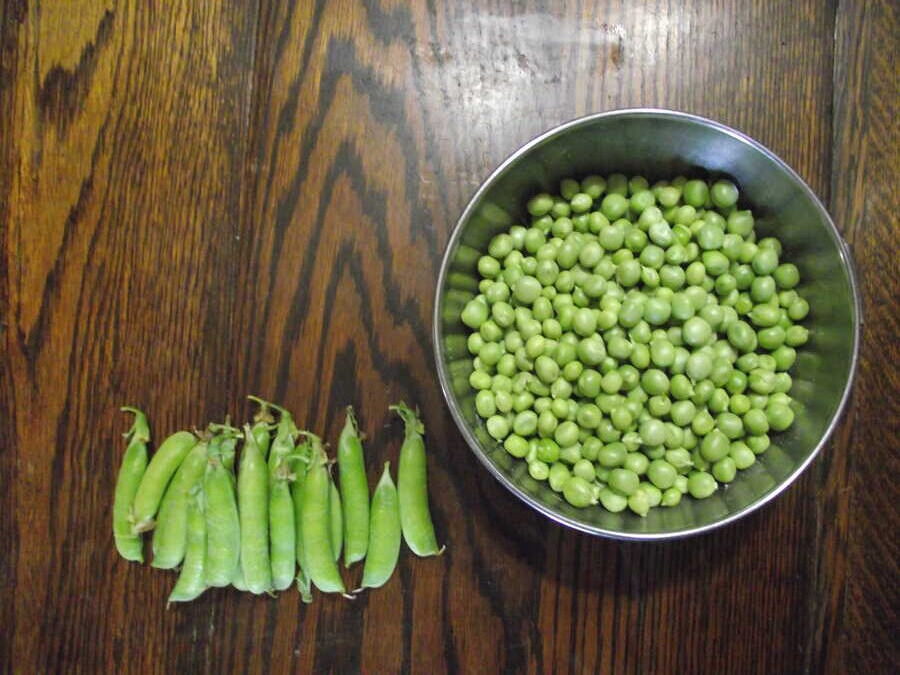 Fairbank pea