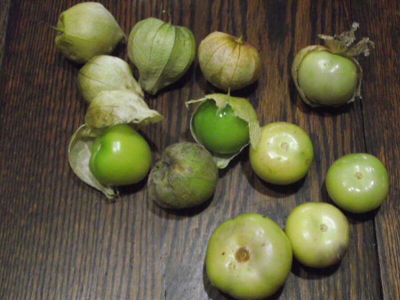 Toma Verde tomatillo